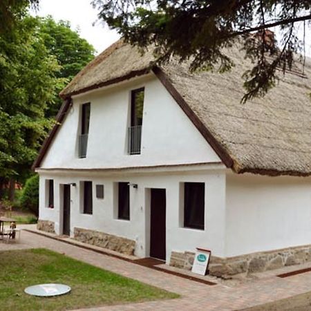 Ferienwohnung Am Skulpturenweg Hohen-Demzin Exterior foto